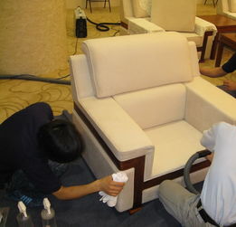 黃馬褂曹操到健康家政 品質(zhì)保潔服務(wù)的新標桿